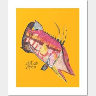 Hogfish Posters and Art